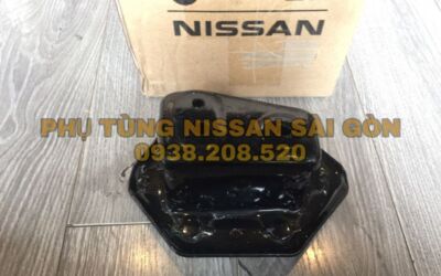 Xương đầu sắt xi bên phải Sunny G5114-3BGMA