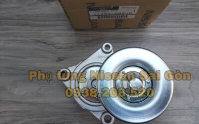 Cụm tăng tổng X-Trail 11955-6N202 và 11955-6N20B