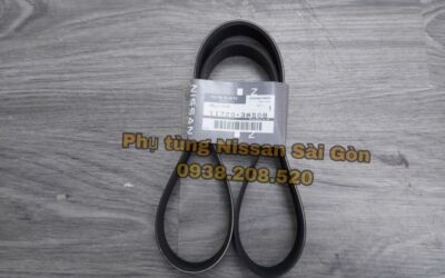 Dây curoa tổng Infiniti 11720-3WS0B