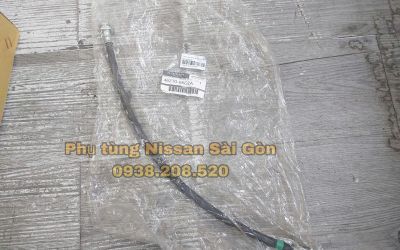 z7666317875060_fcdc43d8d112f8e8b1a657ecdbbc56e6